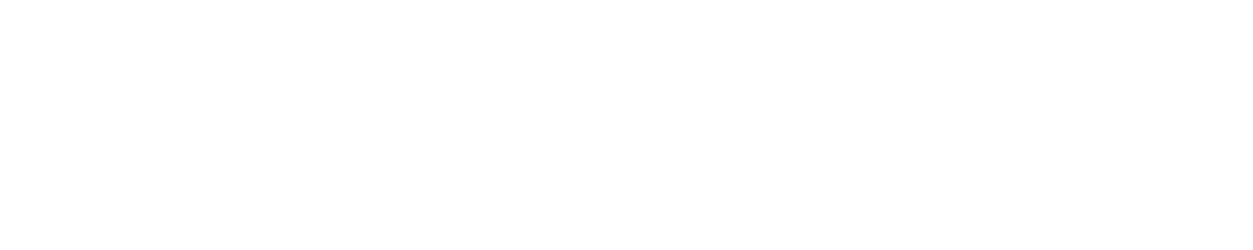 logo white